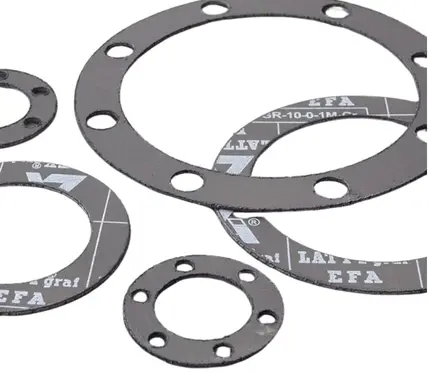 DGEG300H Expanded Graphite Gaskets