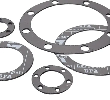 DGEG300H Expanded Graphite Gaskets